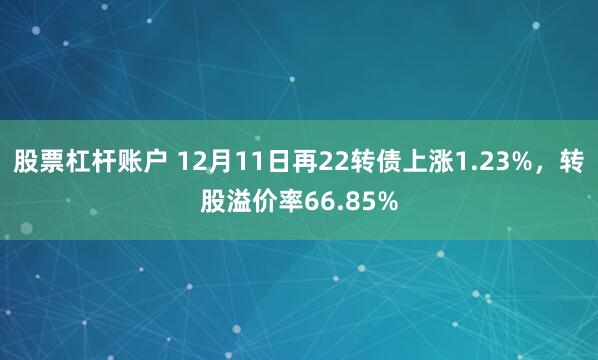 股票杠杆账户 12月11日再22转债上涨1.23%，转股溢价率66.85%