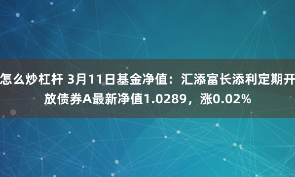 怎么炒杠杆 3月11日基金净值：汇添富长添利定期开放债券A最新净值1.0289，涨0.02%
