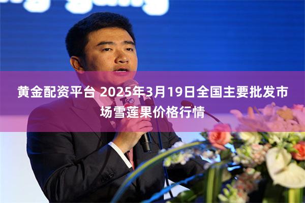黄金配资平台 2025年3月19日全国主要批发市场雪莲果价格行情