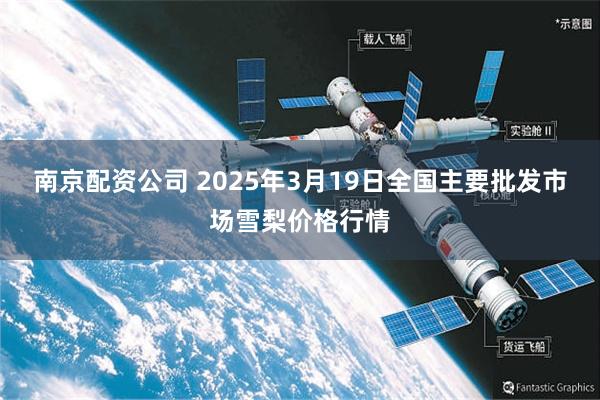 南京配资公司 2025年3月19日全国主要批发市场雪梨价格行情