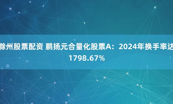 滁州股票配资 鹏扬元合量化股票A：2024年换手率达1798.67%
