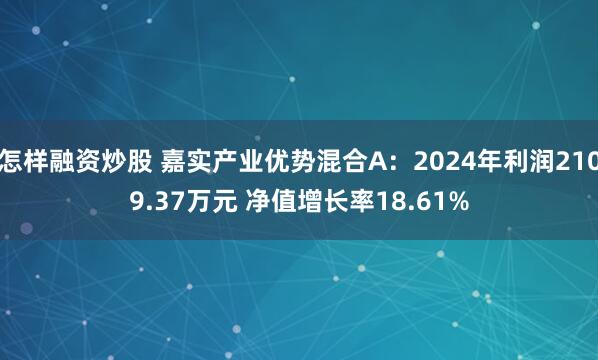 怎样融资炒股 嘉实产业优势混合A：2024年利润2109.37万元 净值增长率18.61%