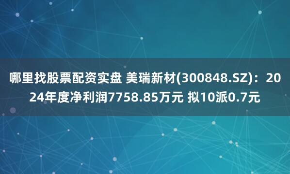 哪里找股票配资实盘 美瑞新材(300848.SZ)：2024年度净利润7758.85万元 拟10派0.7元