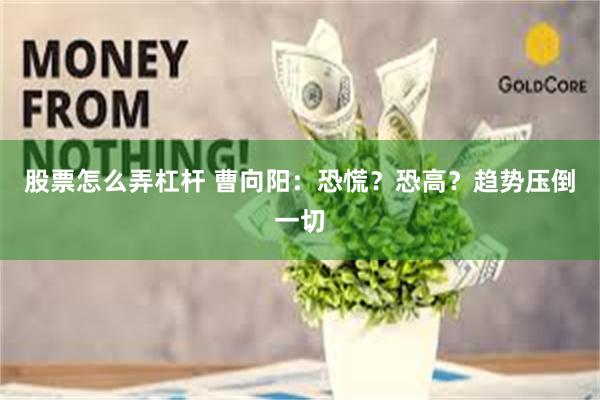 股票怎么弄杠杆 曹向阳：恐慌？恐高？趋势压倒一切