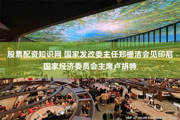 股票配资知识网 国家发改委主任郑栅洁会见印尼国家经济委员会主席卢胡特