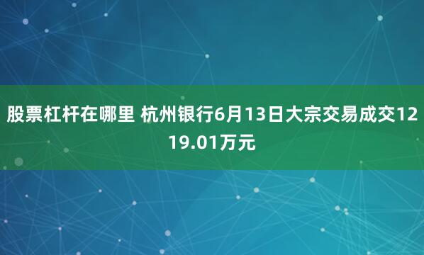 股票杠杆在哪里 杭州银行6月13日大宗交易成交1219.01万元