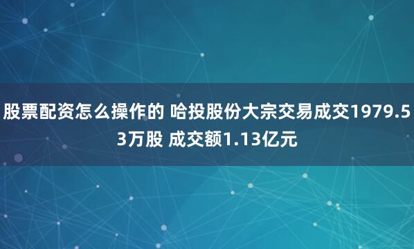 股票配资怎么操作的 哈投股份大宗交易成交1979.53万股 成交额1.13亿元